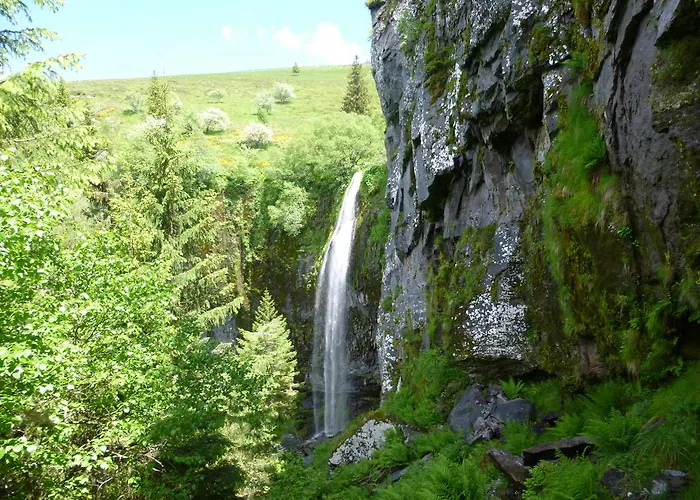 La Gentiane Le Mont-Dore